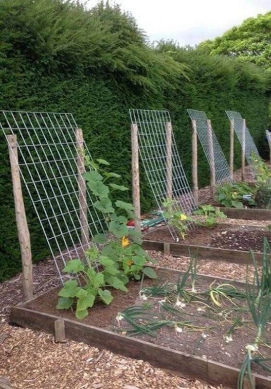 43 idées pour aménager un petit potager 20 43 idées pour aménager un petit potager 20
