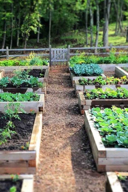 43 idées pour aménager un petit potager 26 43 idées pour aménager un petit potager 26