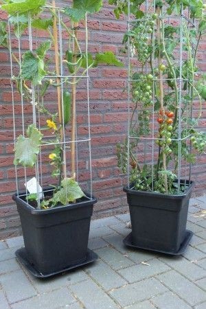 43 idées pour aménager un petit potager 28 43 idées pour aménager un petit potager 28