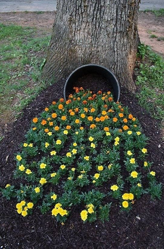 51 impensables idées pour embellir son jardin 25 51 impensables idées pour embellir son jardin 25