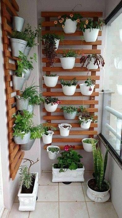 16 idées pour cultiver des aromates et avoir un jardin d'intérieur qui sent bon 10 16 idées pour cultiver des aromates et avoir un jardin d'intérieur qui sent bon 10