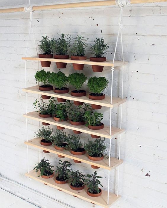 16 idées pour cultiver des aromates et avoir un jardin d'intérieur qui sent bon 9 16 idées pour cultiver des aromates et avoir un jardin d'intérieur qui sent bon 9