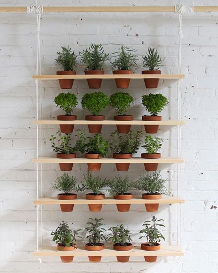 16 idées pour cultiver des aromates et avoir un jardin d'intérieur qui sent bon 12 16 idées pour cultiver des aromates et avoir un jardin d'intérieur qui sent bon 12