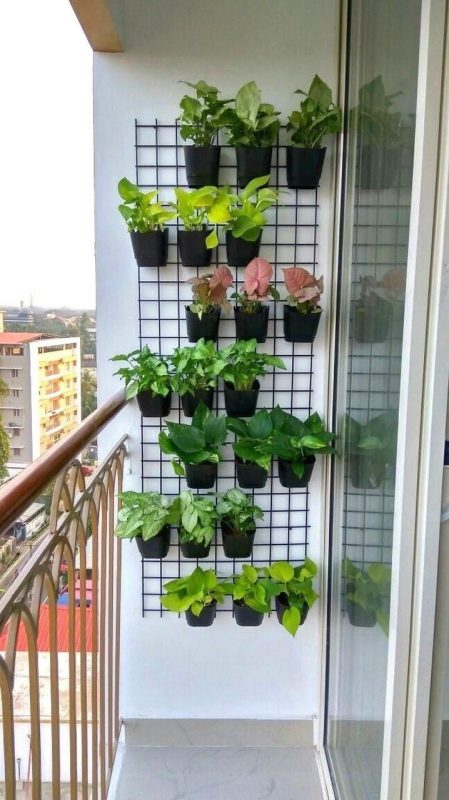 16 idées pour cultiver des aromates et avoir un jardin d'intérieur qui sent bon 13 16 idées pour cultiver des aromates et avoir un jardin d'intérieur qui sent bon 13