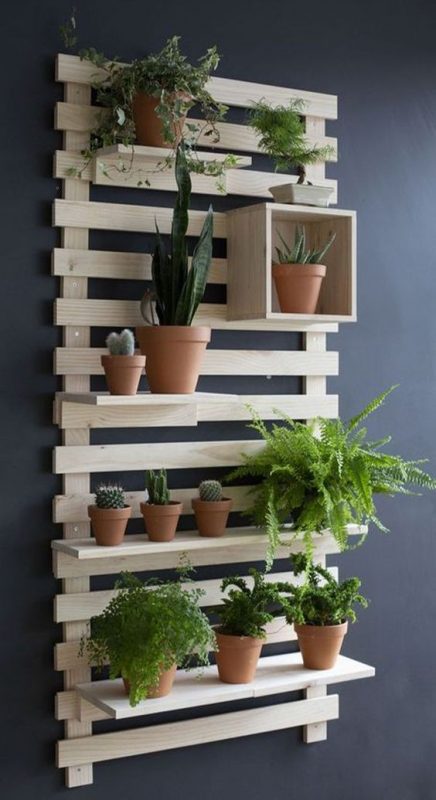 16 idées pour cultiver des aromates et avoir un jardin d'intérieur qui sent bon 5 16 idées pour cultiver des aromates et avoir un jardin d'intérieur qui sent bon 5