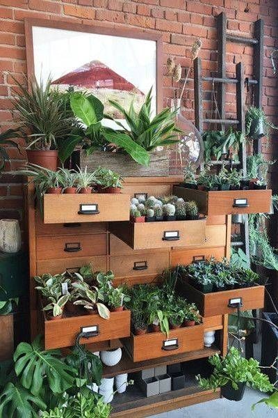 16 idées pour cultiver des aromates et avoir un jardin d'intérieur qui sent bon 6 16 idées pour cultiver des aromates et avoir un jardin d'intérieur qui sent bon 6