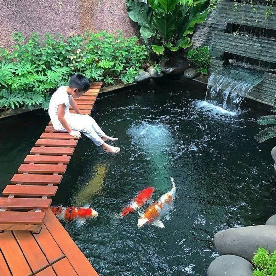 28 idées pour créer une mare naturelle dans le jardin 8 28 idées pour créer une mare naturelle dans le jardin 8