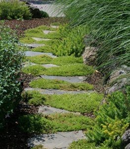 100 incroyables idées de chemins de jardin en pierres 42
