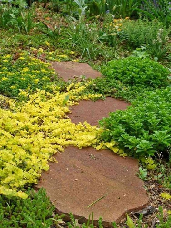 100 incroyables idées de chemins de jardin en pierres 89