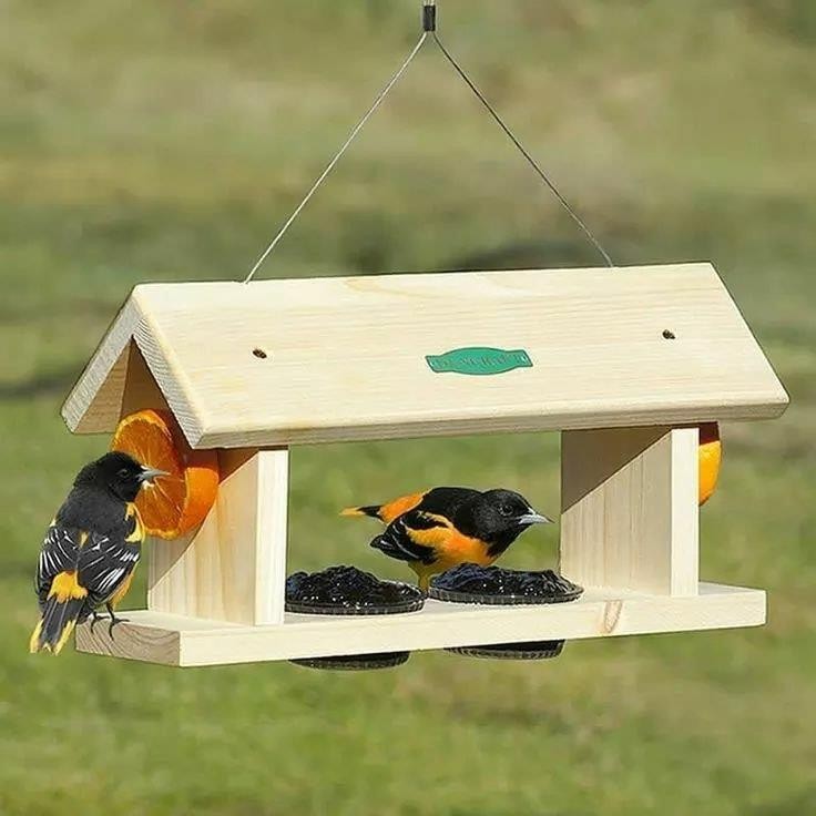 12 idées de mangeoires à oiseaux vraiment très mignons 2 12 idées de mangeoires à oiseaux vraiment très mignons 2