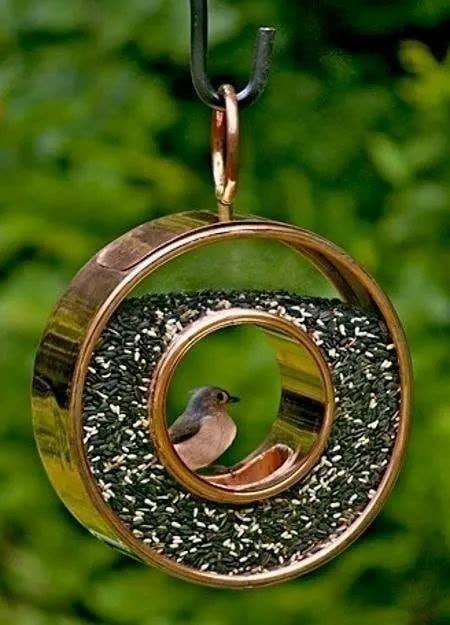 12 idées de mangeoires à oiseaux vraiment très mignons 11 12 idées de mangeoires à oiseaux vraiment très mignons 11