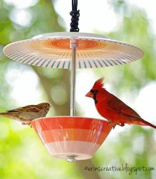 12 idées de mangeoires à oiseaux vraiment très mignons 12 12 idées de mangeoires à oiseaux vraiment très mignons 12