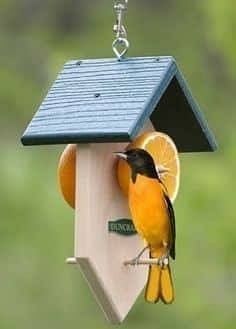 12 idées de mangeoires à oiseaux vraiment très mignons 5 12 idées de mangeoires à oiseaux vraiment très mignons 5