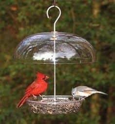 12 idées de mangeoires à oiseaux vraiment très mignons 6 12 idées de mangeoires à oiseaux vraiment très mignons 6