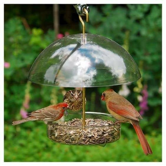 12 idées de mangeoires à oiseaux vraiment très mignons 10 12 idées de mangeoires à oiseaux vraiment très mignons 10