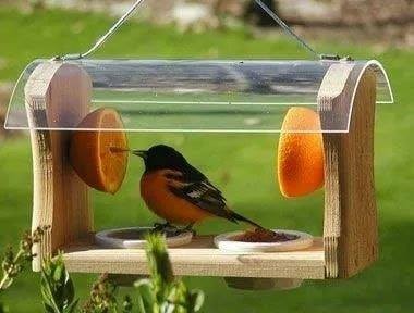 12 idées de mangeoires à oiseaux vraiment très mignons 1 12 idées de mangeoires à oiseaux vraiment très mignons 1