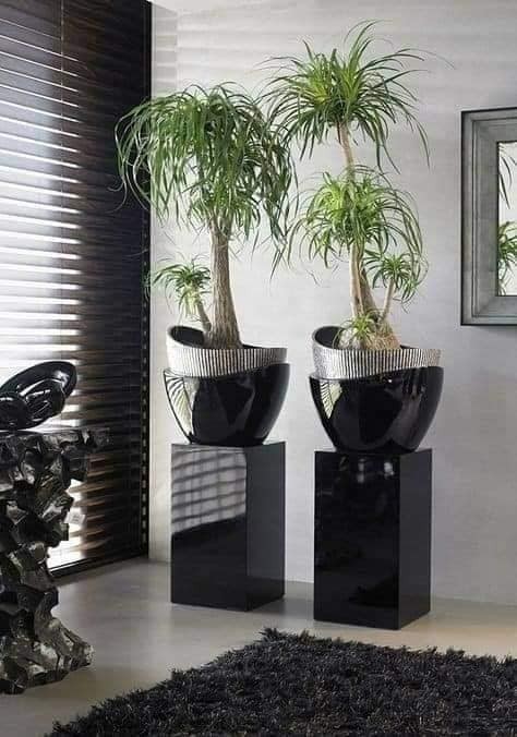 18 idées de jardinières d'intérieur modernes 2 18 idées de jardinières d'intérieur modernes 2