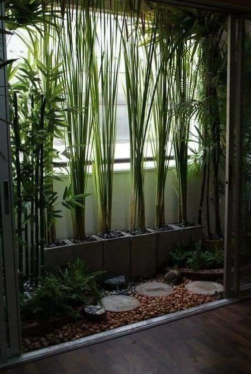 18 idées de jardinières d'intérieur modernes 3 18 idées de jardinières d'intérieur modernes 3