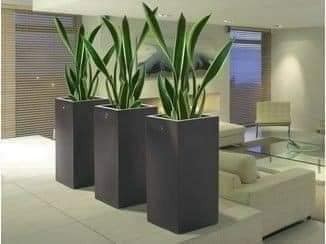 18 idées de jardinières d'intérieur modernes 5 18 idées de jardinières d'intérieur modernes 5