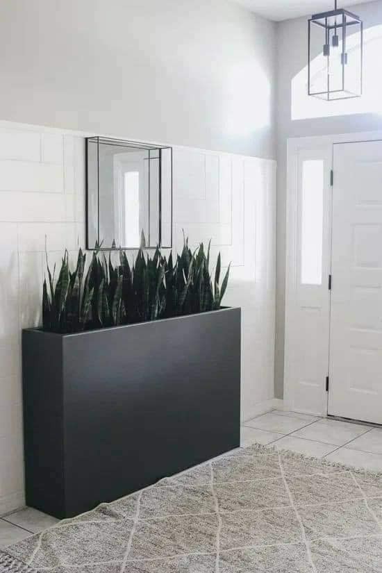 18 idées de jardinières d'intérieur modernes 10 18 idées de jardinières d'intérieur modernes 10