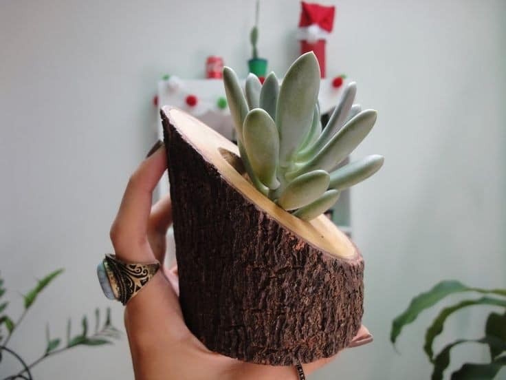 17 idées décoratives pour votre maison en utilisant des bûches de bois 3
