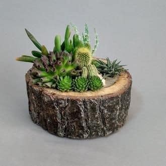 17 idées décoratives pour votre maison en utilisant des bûches de bois 15