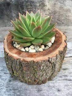 17 idées décoratives pour votre maison en utilisant des bûches de bois 17