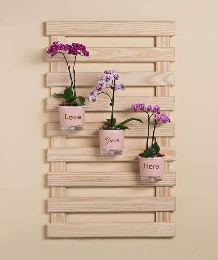 20 idées d'étagères murales pour plantes à faire soi-même 14 20 idées d'étagères murales pour plantes à faire soi-même 14