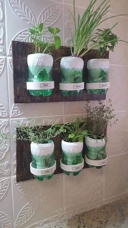 20 idées d'étagères murales pour plantes à faire soi-même 5 20 idées d'étagères murales pour plantes à faire soi-même 5