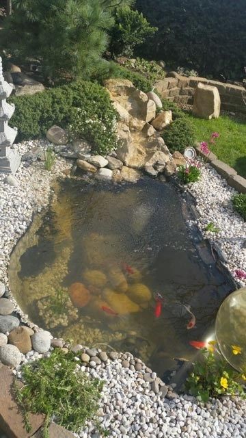 28 idées pour créer une mare naturelle dans le jardin 28 28 idées pour créer une mare naturelle dans le jardin 28