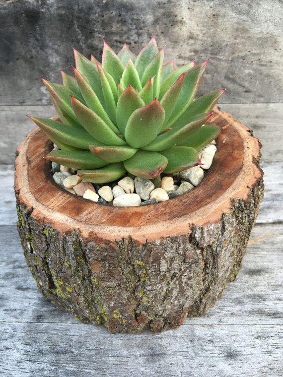 24 idées pour recycler des troncs d'arbres et décorer votre maison avec eux 10 24 idées pour recycler des troncs d'arbres et décorer votre maison avec eux 10
