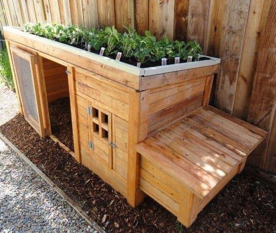 26 idées de poulaillers vraiment originaux 11