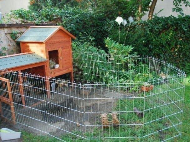 26 idées de poulaillers vraiment originaux 6