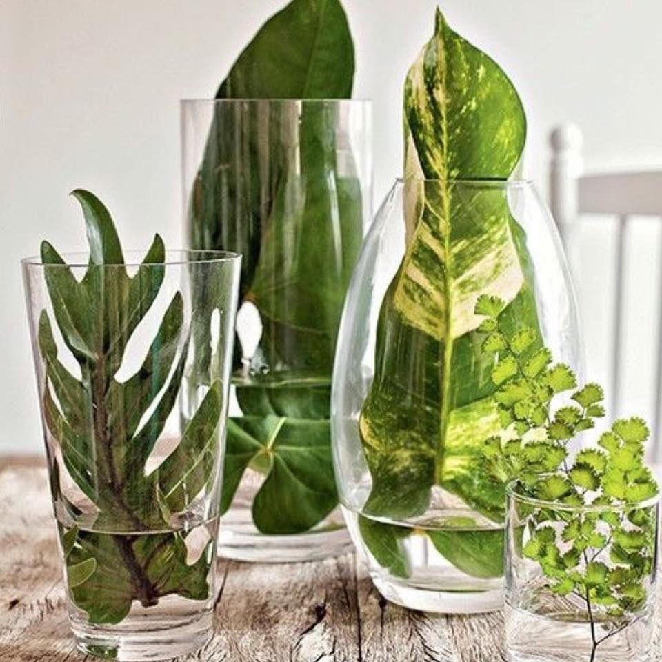 29 idées pour cultiver des plantes et des fleurs dans des bocaux 6 29 idées pour cultiver des plantes et des fleurs dans des bocaux 6