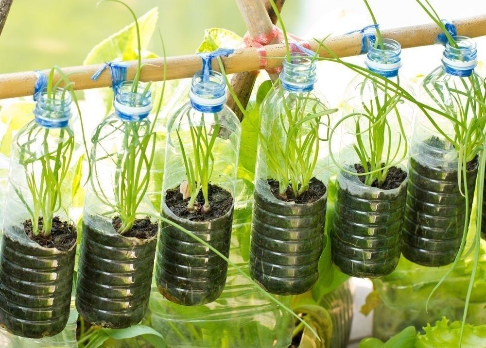 29 idées pour cultiver des plantes et des fleurs dans des bocaux 8 29 idées pour cultiver des plantes et des fleurs dans des bocaux 8