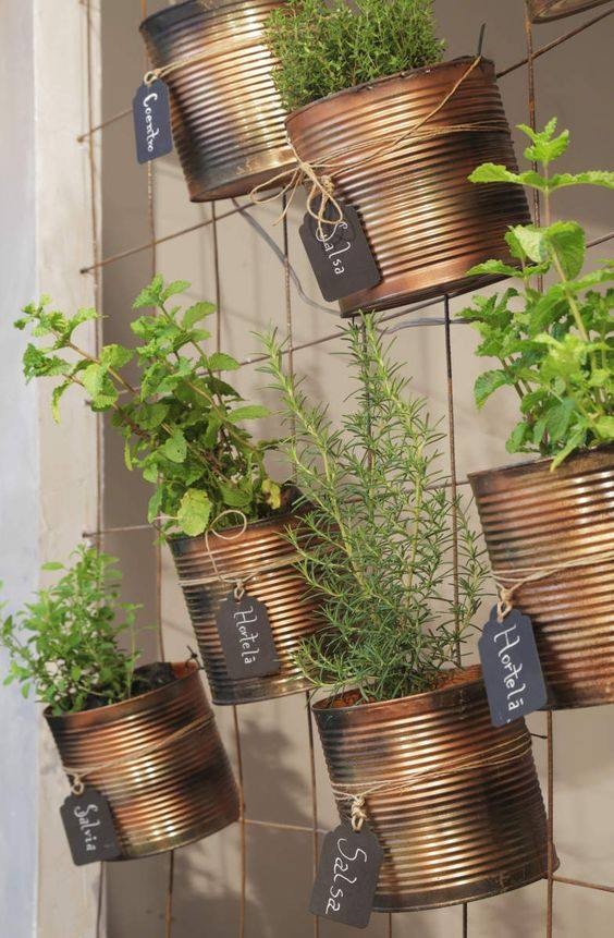 35 idées de mini potagers à faire dans la cuisine 15 35 idées de mini potagers à faire dans la cuisine 15