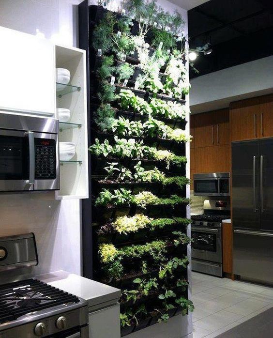 35 idées de mini potagers à faire dans la cuisine 18 35 idées de mini potagers à faire dans la cuisine 18