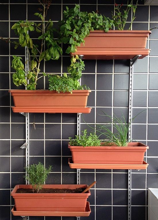 35 idées de mini potagers à faire dans la cuisine 20 35 idées de mini potagers à faire dans la cuisine 20