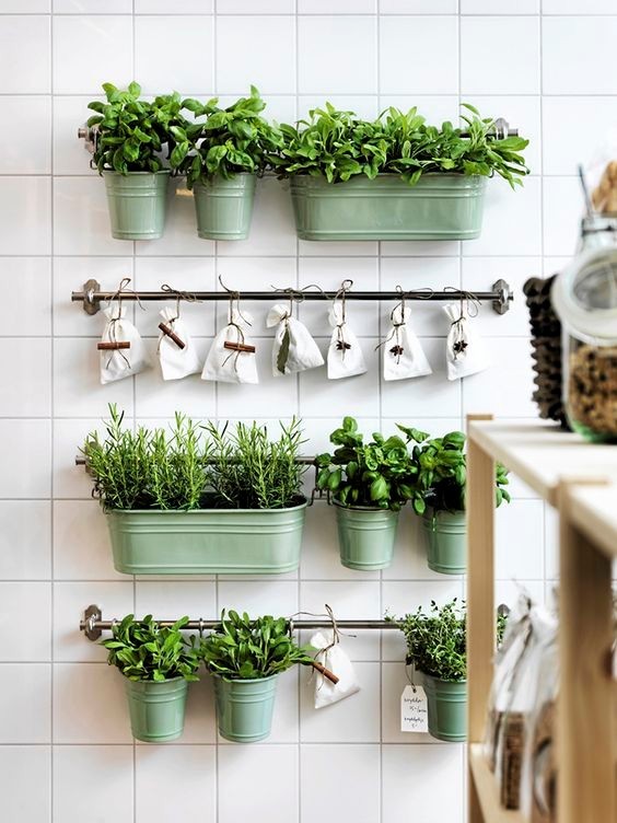 35 idées de mini potagers à faire dans la cuisine 22 35 idées de mini potagers à faire dans la cuisine 22