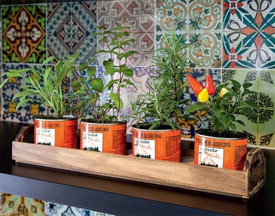 35 idées de mini potagers à faire dans la cuisine 23 35 idées de mini potagers à faire dans la cuisine 23
