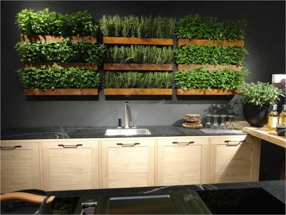 35 idées de mini potagers à faire dans la cuisine 26 35 idées de mini potagers à faire dans la cuisine 26