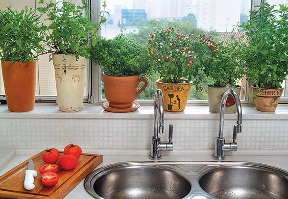 35 idées de mini potagers à faire dans la cuisine 29 35 idées de mini potagers à faire dans la cuisine 29