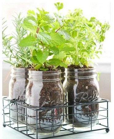 35 idées de mini potagers à faire dans la cuisine 32 35 idées de mini potagers à faire dans la cuisine 32
