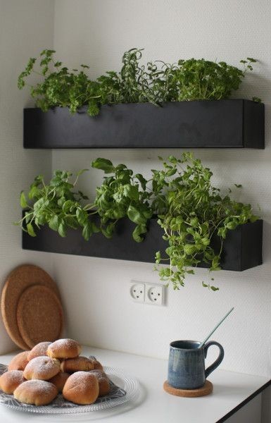 35 idées de mini potagers à faire dans la cuisine 33 35 idées de mini potagers à faire dans la cuisine 33