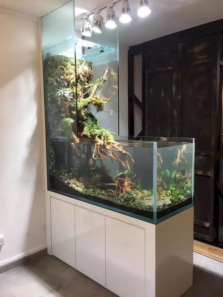 38 top idées d'Aquariums pour décorer votre maison 3 38 top idées d'Aquariums pour décorer votre maison 3