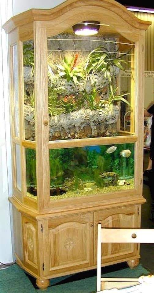 38 top idées d'Aquariums pour décorer votre maison 11 38 top idées d'Aquariums pour décorer votre maison 11
