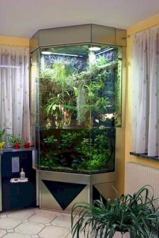 38 top idées d'Aquariums pour décorer votre maison 12 38 top idées d'Aquariums pour décorer votre maison 12