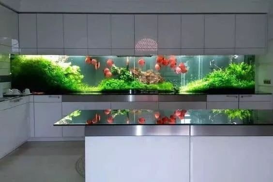 38 top idées d'Aquariums pour décorer votre maison 14 38 top idées d'Aquariums pour décorer votre maison 14