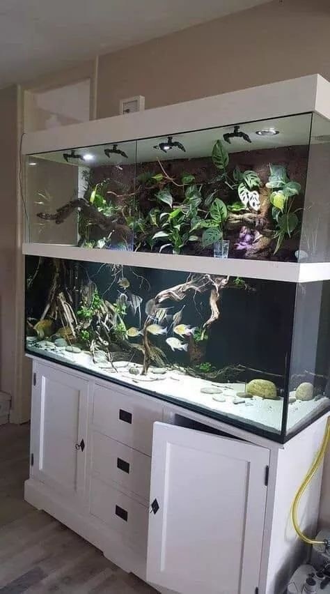 38 top idées d'Aquariums pour décorer votre maison 17 38 top idées d'Aquariums pour décorer votre maison 17