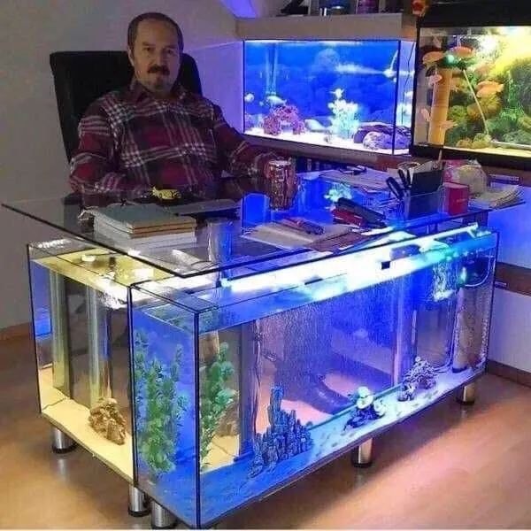 38 top idées d'Aquariums pour décorer votre maison 19 38 top idées d'Aquariums pour décorer votre maison 19